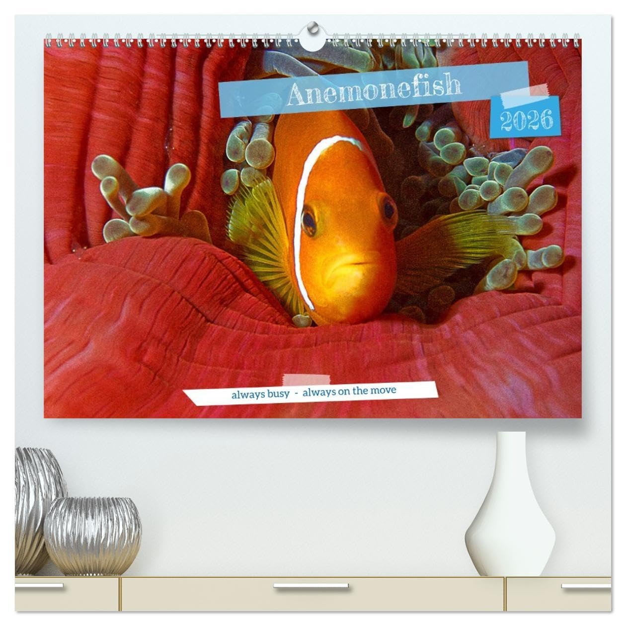 Anemonefish - always busy - always on the move (High Quality Premium Wall Calendar 2026 DIN A2 landscape),CALVENDO 12 Month Wall Calendar: Clownfish - Always busy - Always in move Leisure, Home & Garden