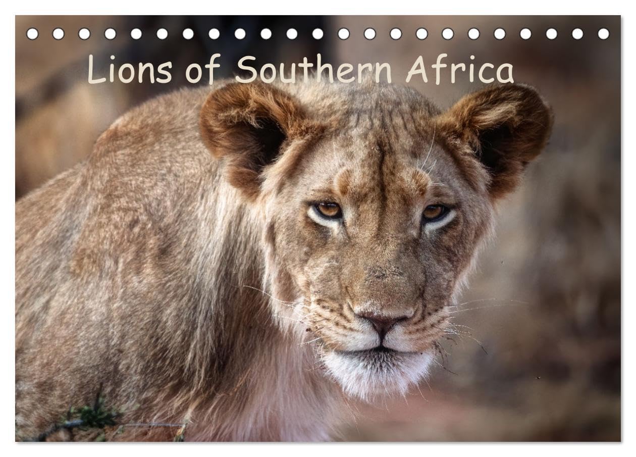 Lions of Southern Africa (Desk Calendar 2026 DIN A5 landscape), CALVENDO 12 Month DeskCalendar: Roar into the Wild - Lions of Africa Natural Sciences