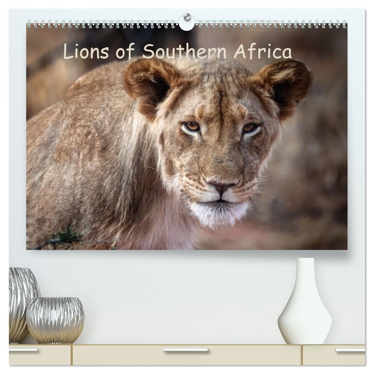 Lions of Southern Africa (High Quality Premium Wall Calendar 2026 DIN A2 landscape),CALVENDO 12 Month Wall Calendar: Roar into the Wild - Lions of Africa Natural Sciences