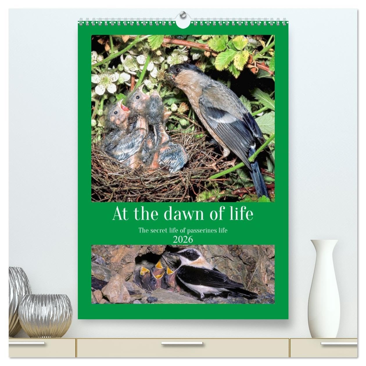 At the dawn of life the secret life of passerines (High Quality Premium Wall Calendar 2026 DIN A2 portrait),CALVENDO 12 Month Wall Calendar: The secret life of our country birds Natural Sciences