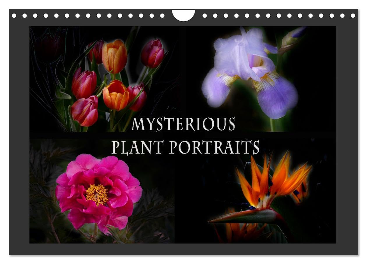Mysterious plant portraits (Wall Calendar 2026 DIN A4 landscape), CALVENDO 12 Month Wall Calendar: Magical plants glow in the dark Leisure, Home & Garden