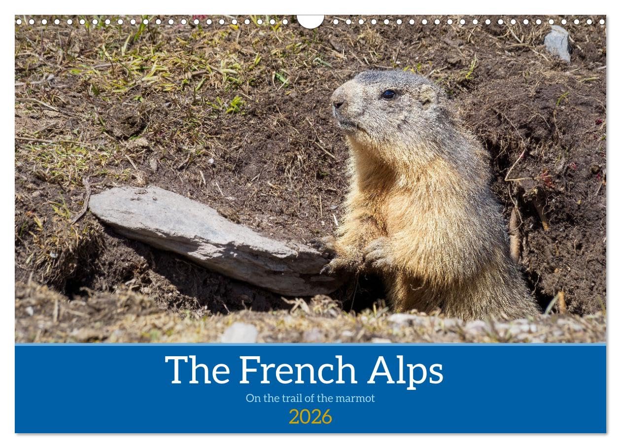 The French Alps, on the trail of the marmot (Wall Calendar 2026 DIN A3 landscape), CALVENDO 12 Month Wall Calendar: The marmot's waking environment Photography