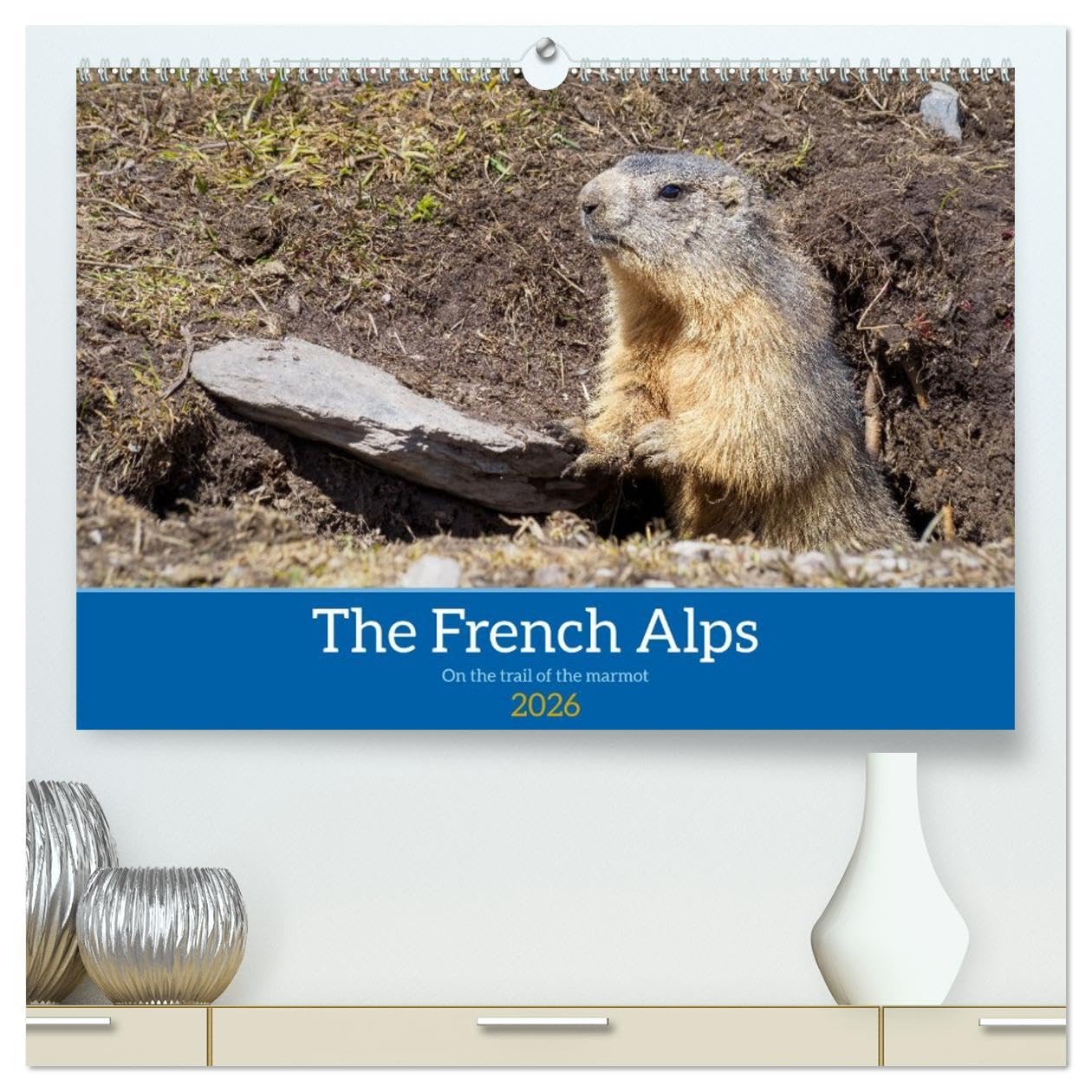 The French Alps, on the trail of the marmot (High Quality Premium Wall Calendar 2026 DIN A2 landscape),CALVENDO 12 Month Wall Calendar: The marmot's waking environment Photography