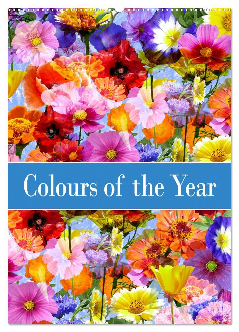 Colours of the Year (Wall Calendar 2026 DIN A2 portrait), CALVENDO 12 Month Wall Calendar: Triple flower dreams in perfect color harmony Leisure, Home & Garden
