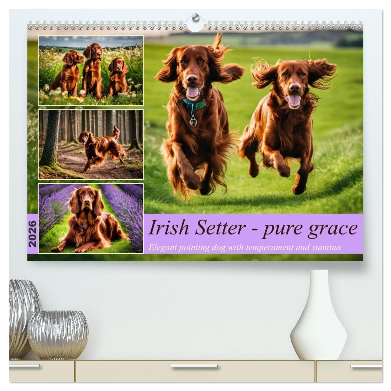 Irish Setter - pure grace (High Quality Premium Wall Calendar 2026 DIN A2 landscape),CALVENDO 12 Month Wall Calendar: Elegant pointing dog with temperament and stamina Natural Sciences