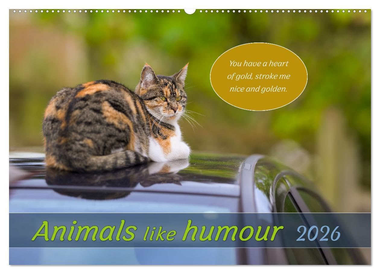Animals like humour (Wall Calendar 2026 DIN A2 landscape), CALVENDO 12 Month Wall Calendar: Animals in beautiful pictures with funny sayings. Natural Sciences