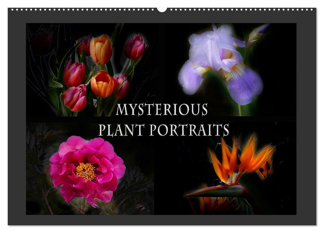 Mysterious plant portraits (Wall Calendar 2026 DIN A2 landscape), CALVENDO 12 Month Wall Calendar: Magical plants glow in the dark Leisure, Home & Garden