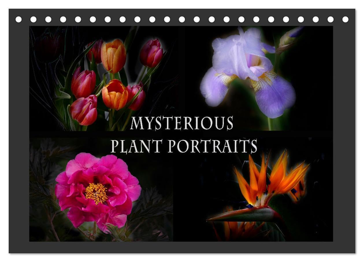 Mysterious plant portraits (Desk Calendar 2026 DIN A5 landscape), CALVENDO 12 Month DeskCalendar: Magical plants glow in the dark Leisure, Home & Garden