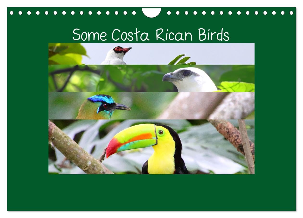 Some Costa Rican Birds (Wall Calendar 2026 DIN A4 landscape), CALVENDO 12 Month Wall Calendar: Enjoy a little of the great biodiversity you can find in Costa Rica Natural Sciences