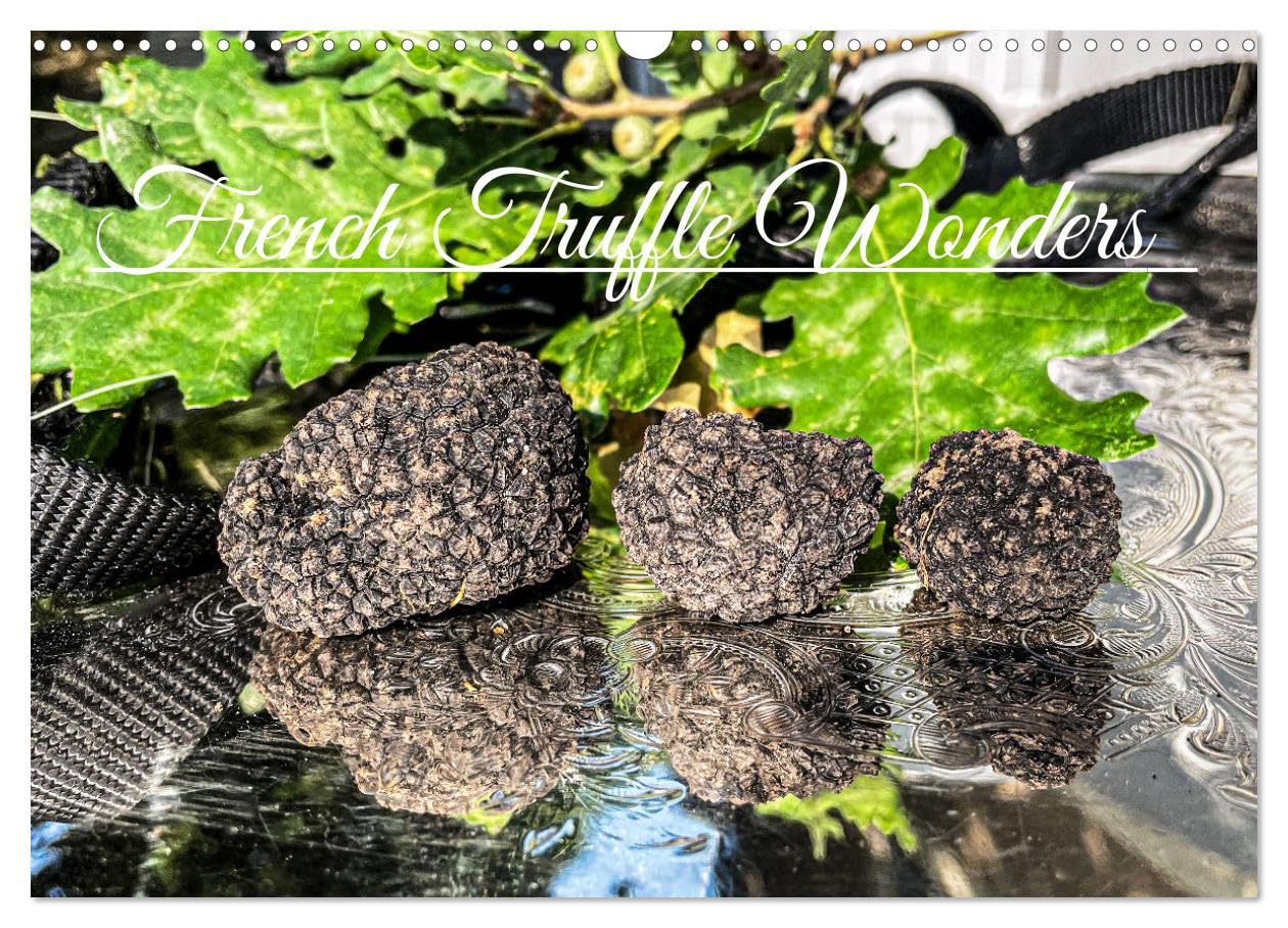 French Truffle Wonders (Wall Calendar 2026 DIN A3 landscape), CALVENDO 12 Month Wall Calendar: Precious French black gold Leisure, Home & Garden