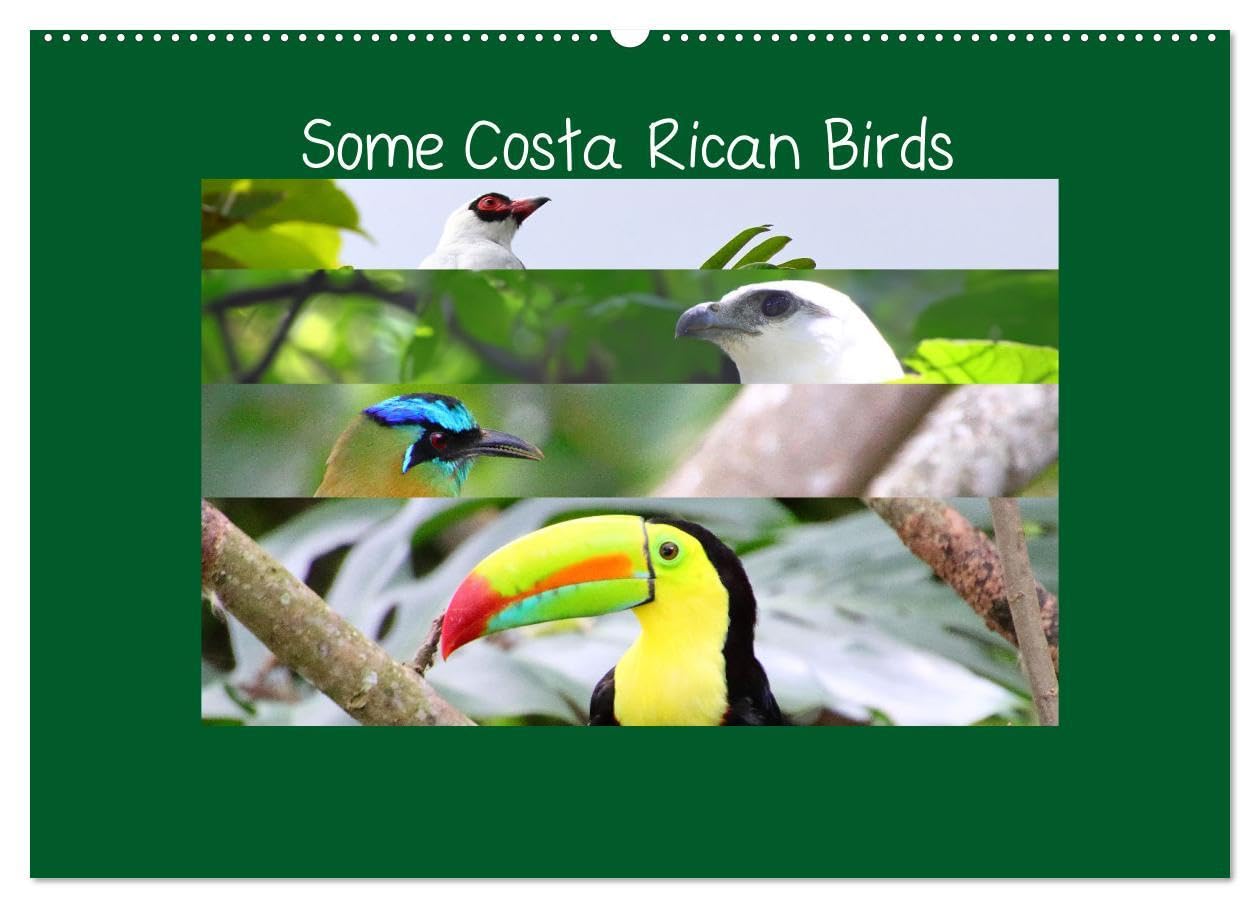 Some Costa Rican Birds (Wall Calendar 2026 DIN A2 landscape), CALVENDO 12 Month Wall Calendar: Enjoy a little of the great biodiversity you can find in Costa Rica Natural Sciences