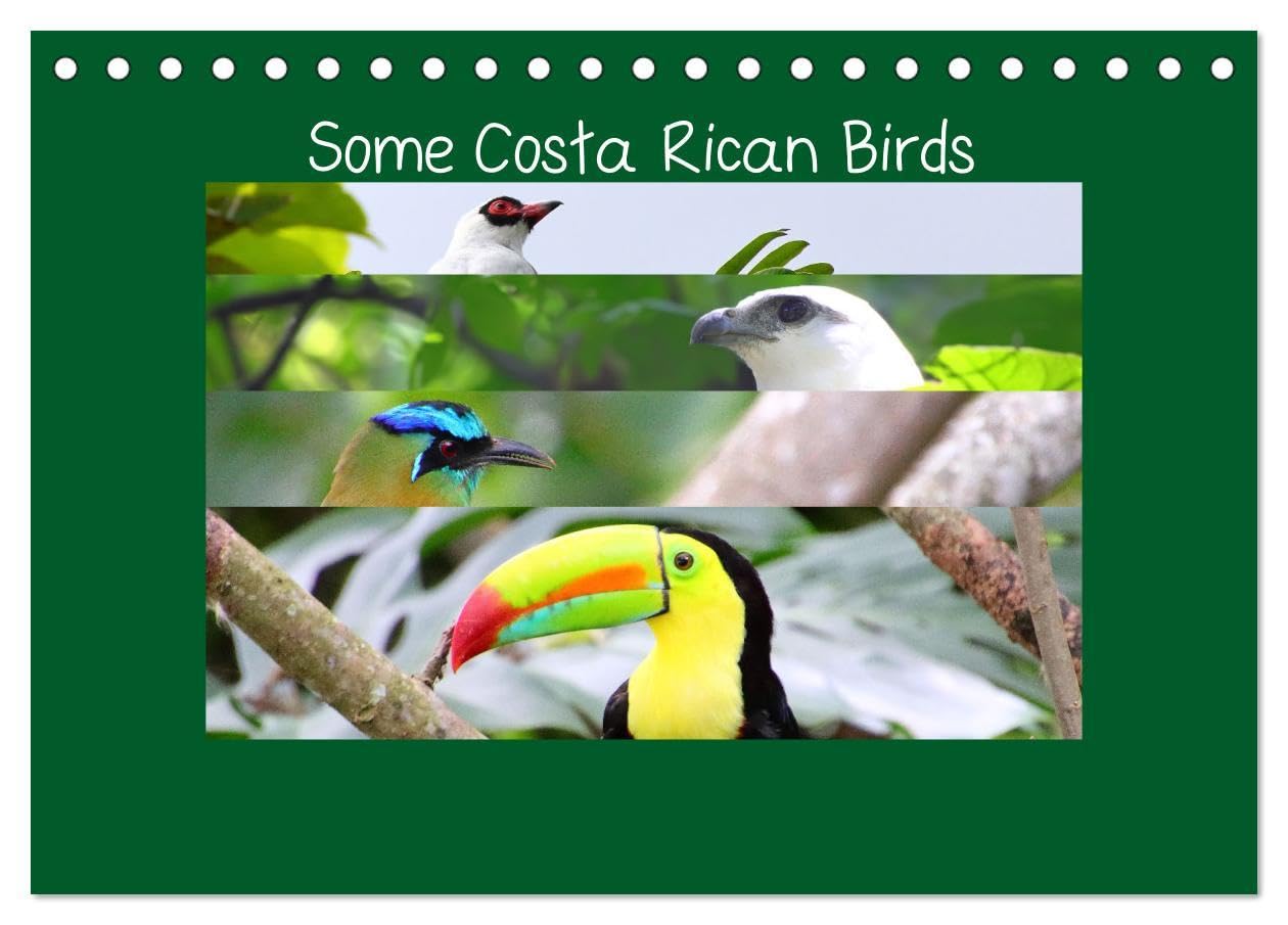 Some Costa Rican Birds (Desk Calendar 2026 DIN A5 landscape), CALVENDO 12 Month DeskCalendar: Enjoy a little of the great biodiversity you can find in Costa Rica Natural Sciences