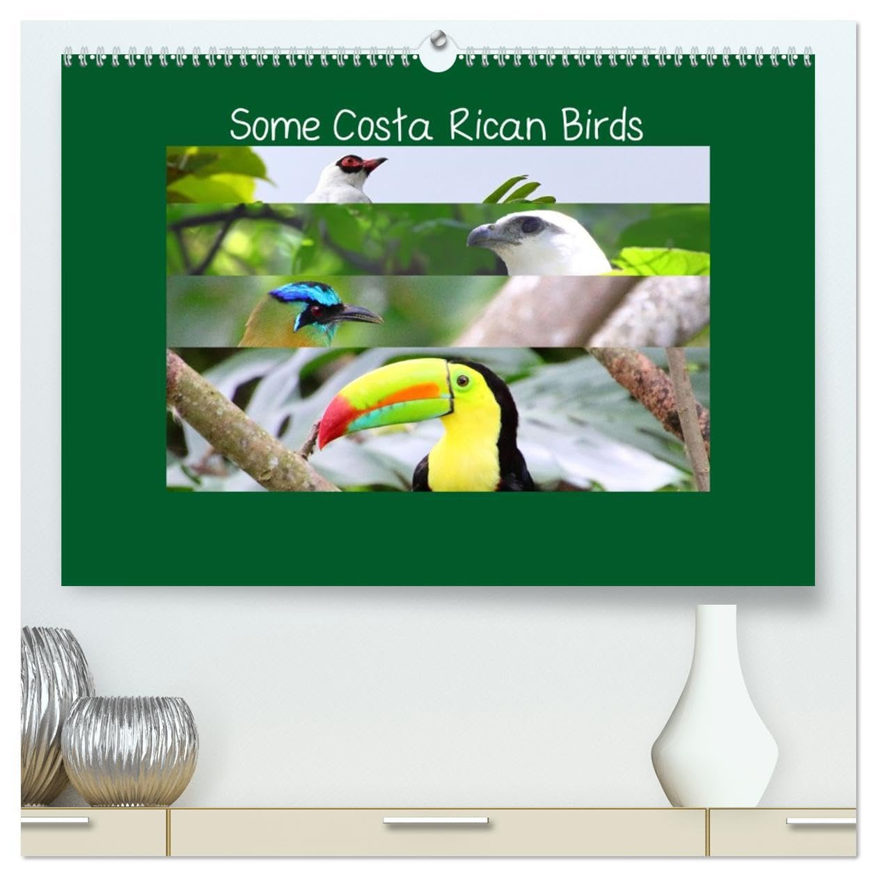 Some Costa Rican Birds (High Quality Premium Wall Calendar 2026 DIN A2 landscape),CALVENDO 12 Month Wall Calendar: Enjoy a little of the great biodiversity you can find in Costa Rica Natural Sciences
