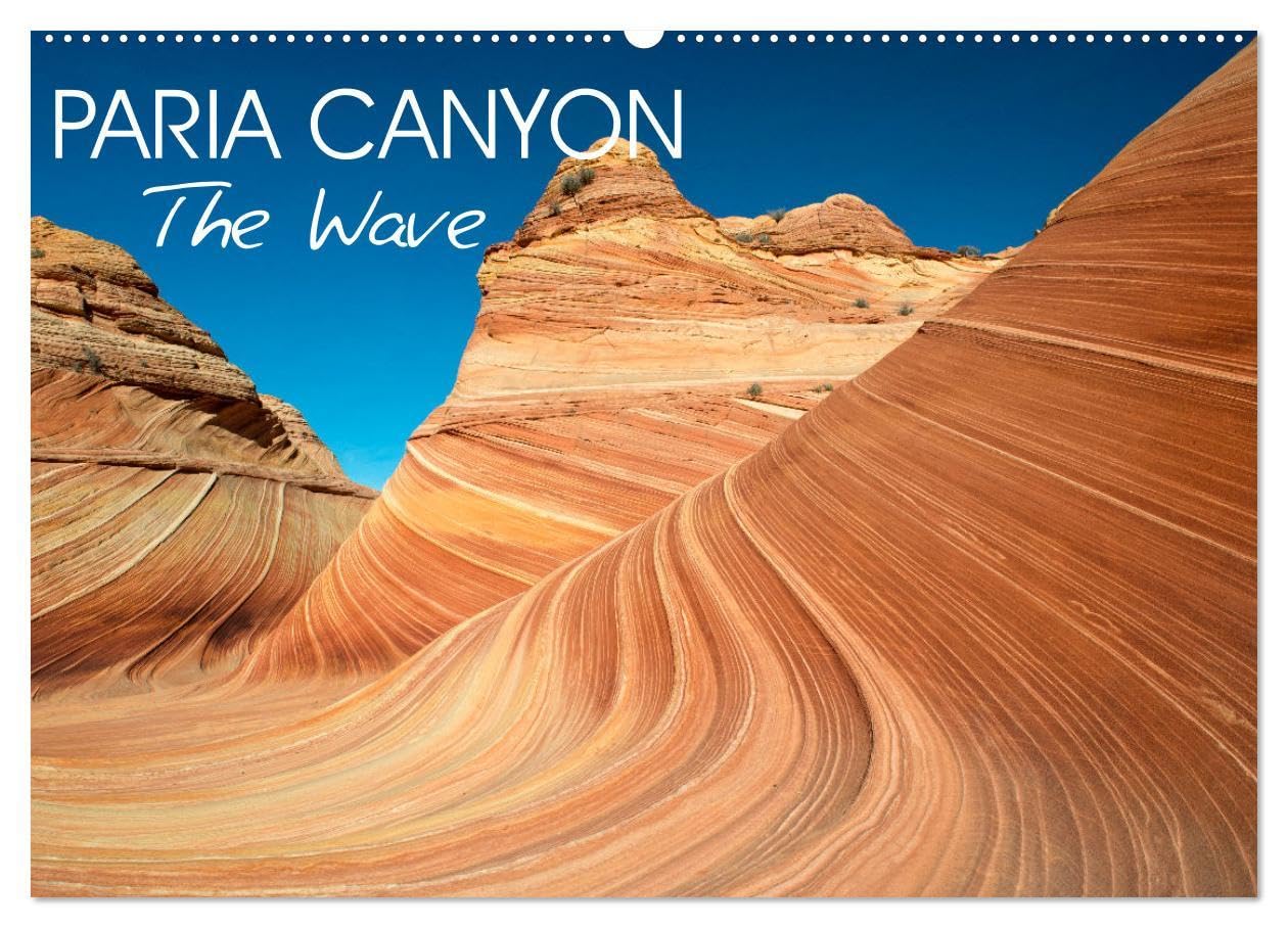 Paria Canyon The Wave (Wall Calendar 2026 DIN A2 landscape), CALVENDO 12 Month Wall Calendar: Wonders of nature Business & Technology
