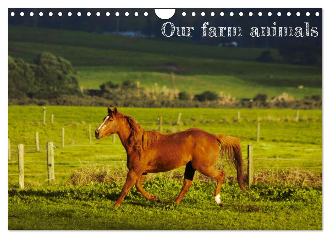 Our farm animals (Wall Calendar 2026 DIN A4 landscape), CALVENDO 12 Month Wall Calendar: Farm animals photography Natural Sciences