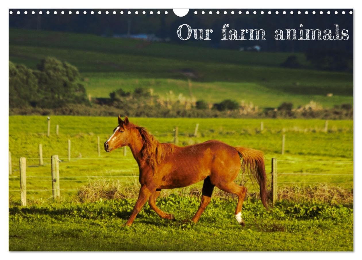 Our farm animals (Wall Calendar 2026 DIN A3 landscape), CALVENDO 12 Month Wall Calendar: Farm animals photography Natural Sciences