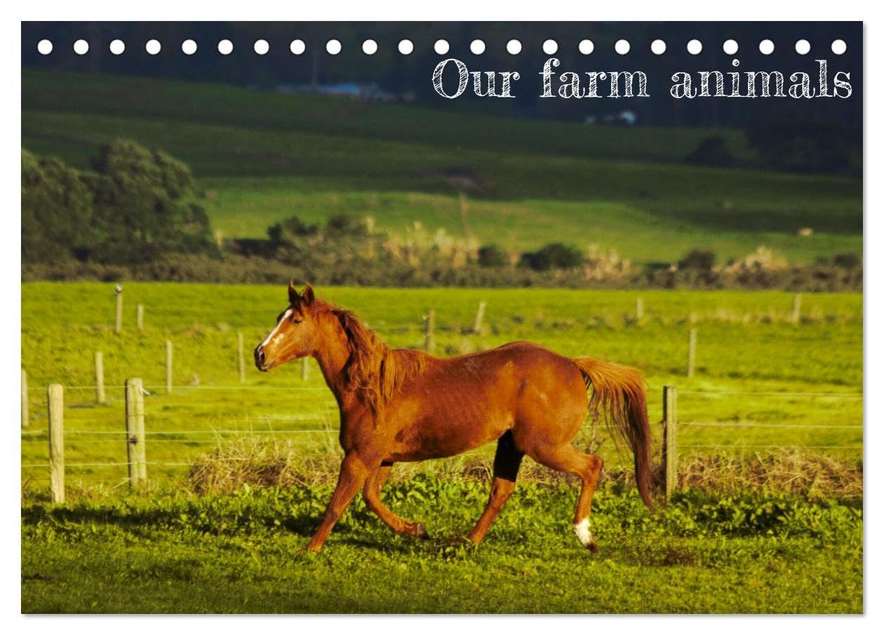Our farm animals (Desk Calendar 2026 DIN A5 landscape), CALVENDO 12 Month DeskCalendar: Farm animals photography Natural Sciences