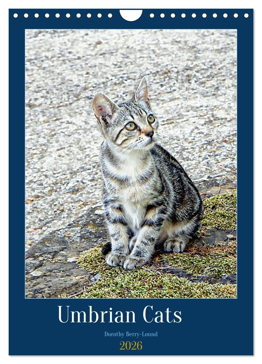 Umbrian Cats (Wall Calendar 2026 DIN A4 portrait), CALVENDO 12 Month Wall Calendar: Photo art portraits of cats from Umbria in Central Italy Natural Sciences