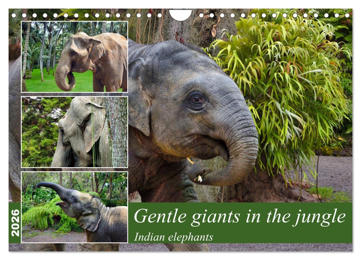 Gentle giants in the jungle (Wall Calendar 2026 DIN A4 landscape), CALVENDO 12 Month Wall Calendar: Portraits of Indian elephants Natural Sciences