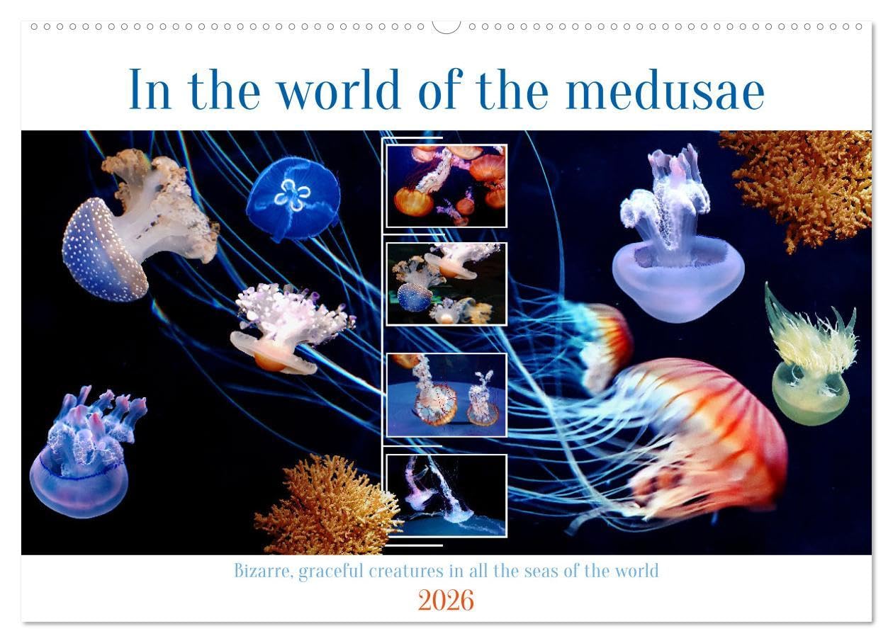 In the world of the medusae (Wall Calendar 2026 DIN A2 landscape), CALVENDO 12 Month Wall Calendar: Mysterious and interesting creatures in all the seas of the world Natural Sciences