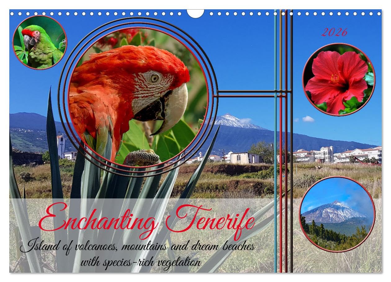 Enchanting Tenerife (Wall Calendar 2026 DIN A3 landscape), CALVENDO 12 Month Wall Calendar: Island of volcanoes, mountains and dream beaches with species-rich vegetation in the Atlantic Leisure, Home & Garden