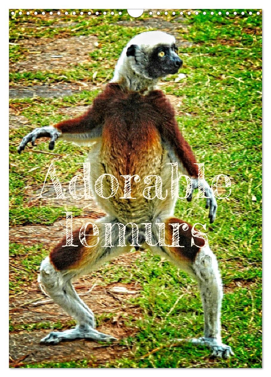 Adorable lemurs (Wall Calendar 2026 DIN A3 portrait), CALVENDO 12 Month Wall Calendar: Madagascar is the exclusive and endemic home of lemurs Natural Sciences