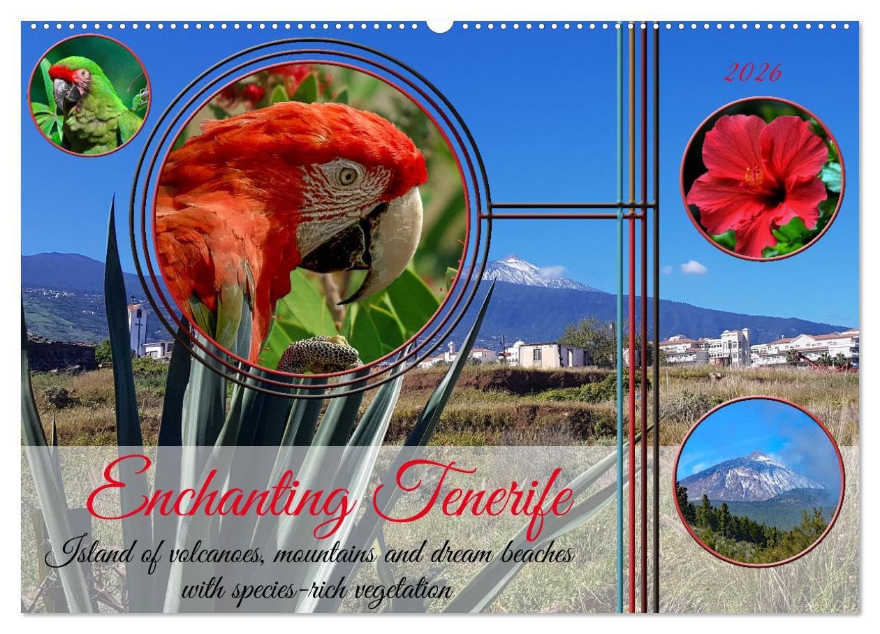 Enchanting Tenerife (Wall Calendar 2026 DIN A2 landscape), CALVENDO 12 Month Wall Calendar: Island of volcanoes, mountains and dream beaches with species-rich vegetation in the Atlantic Leisure, Home & Garden