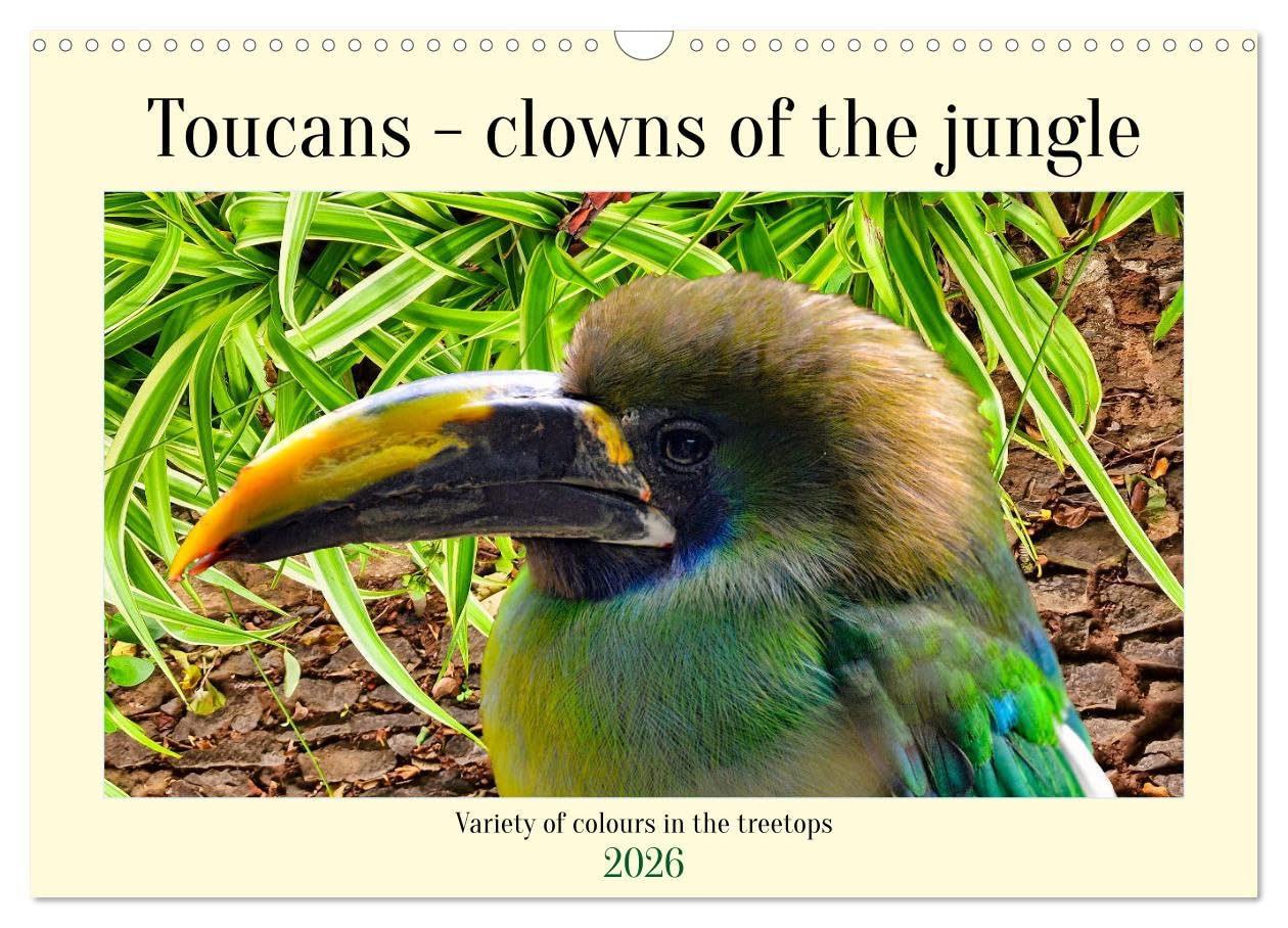 Toucans - clowns of the jungle (Wall Calendar 2026 DIN A3 landscape), CALVENDO 12 Month Wall Calendar: Variety of colours in the treetops Natural Sciences