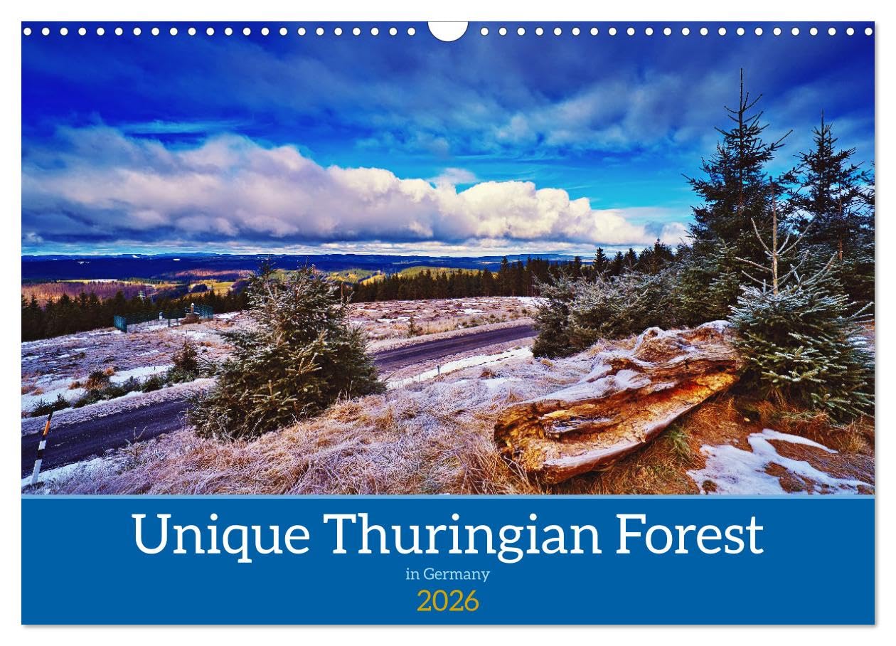 Unique Thuringian Forest (Wall Calendar 2026 DIN A3 landscape), CALVENDO 12 Month Wall Calendar: Insights into the landscapes of the Thuringian Forest Leisure, Home & Garden