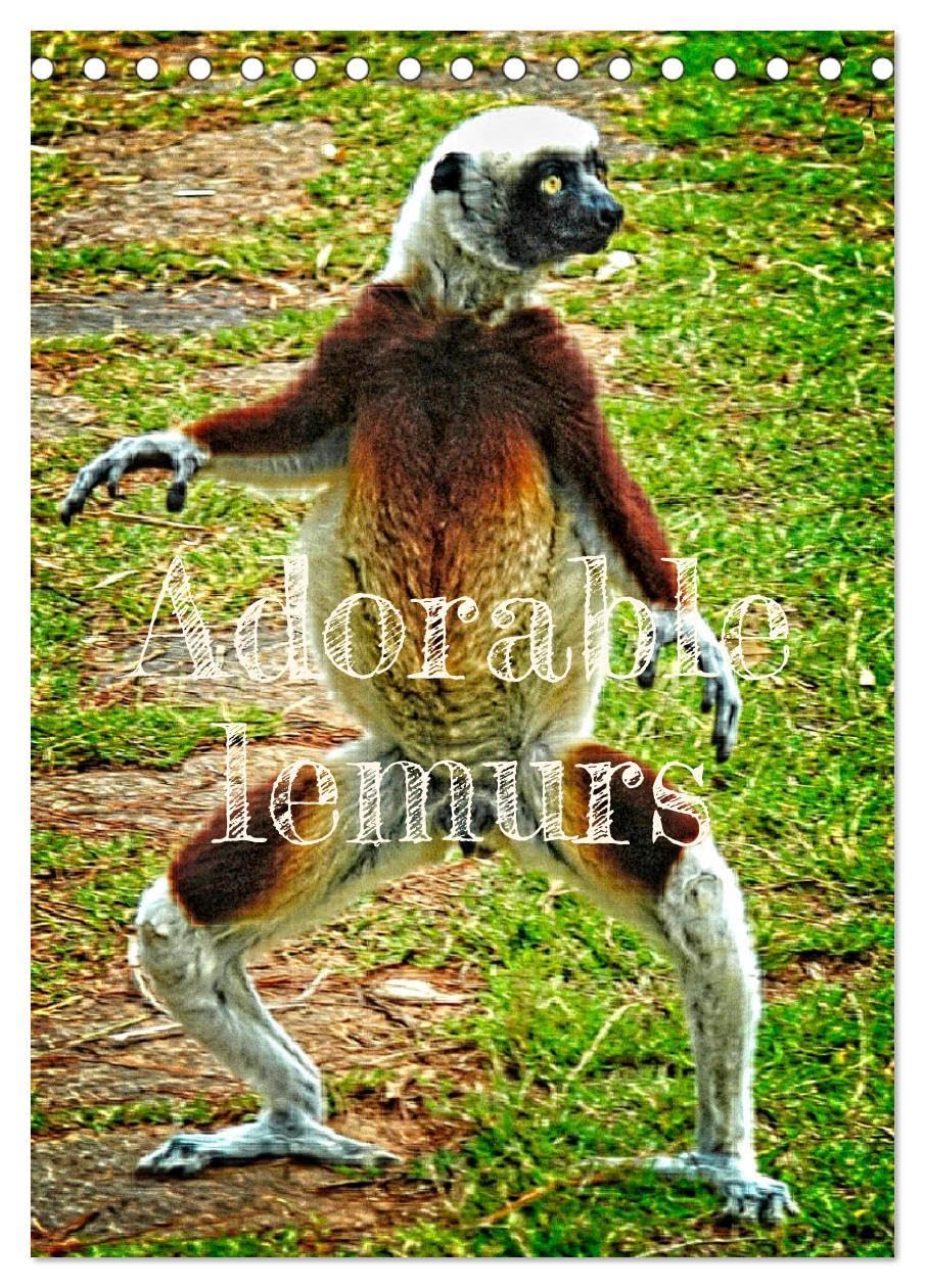 Adorable lemurs (Desk Calendar 2026 DIN A5 portrait), CALVENDO 12 Month DeskCalendar: Madagascar is the exclusive and endemic home of lemurs Natural Sciences