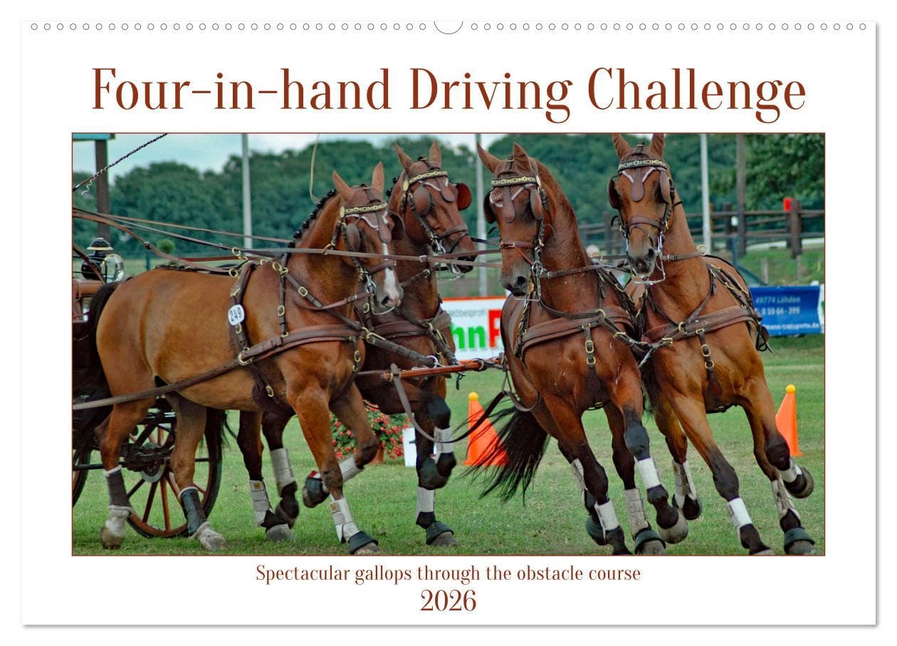 Four-in-hand Driving Challenge (Wall Calendar 2026 DIN A2 landscape), CALVENDO 12 Month Wall Calendar: Spectacular gallops through the obstacle course Natural Sciences