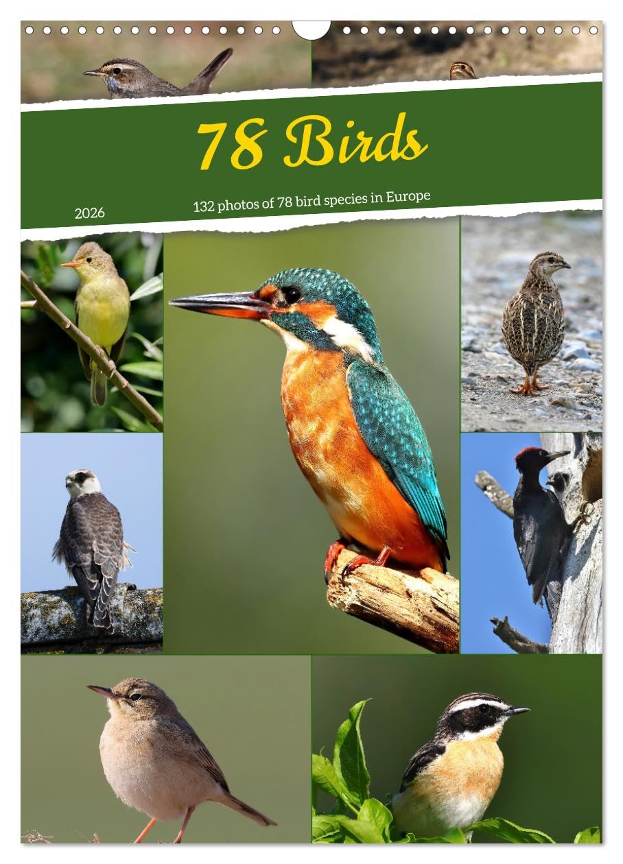 78 Birds (Wall Calendar 2026 DIN A3 portrait), CALVENDO 12 Month Wall Calendar: 132 photos of 78 bird species in Central Europe Natural Sciences