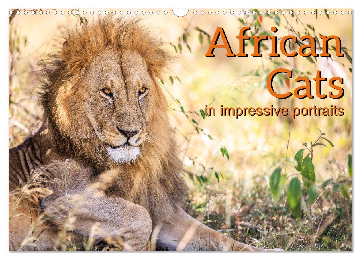 African Cats in impressive portraits (Wall Calendar 2026 DIN A3 landscape), CALVENDO 12 Month Wall Calendar: Impressive high-resolution portraits of Africa's fascinating big cats Film, Art & Culture