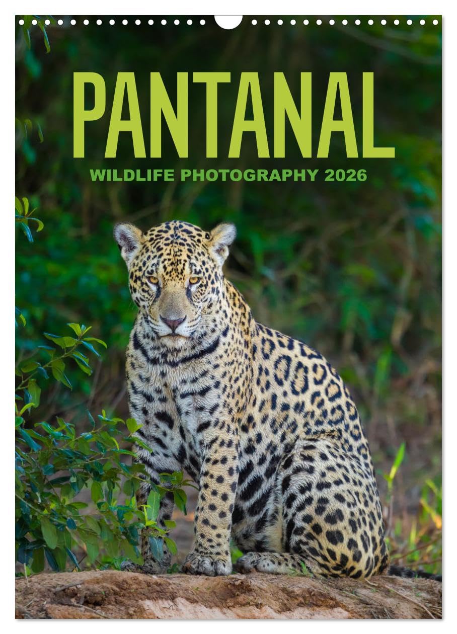 Pantanal Wildlife Photography (Wall Calendar 2026 DIN A3 portrait), CALVENDO 12 Month Wall Calendar: The wonderful and unique wild animals of South America Film, Art & Culture