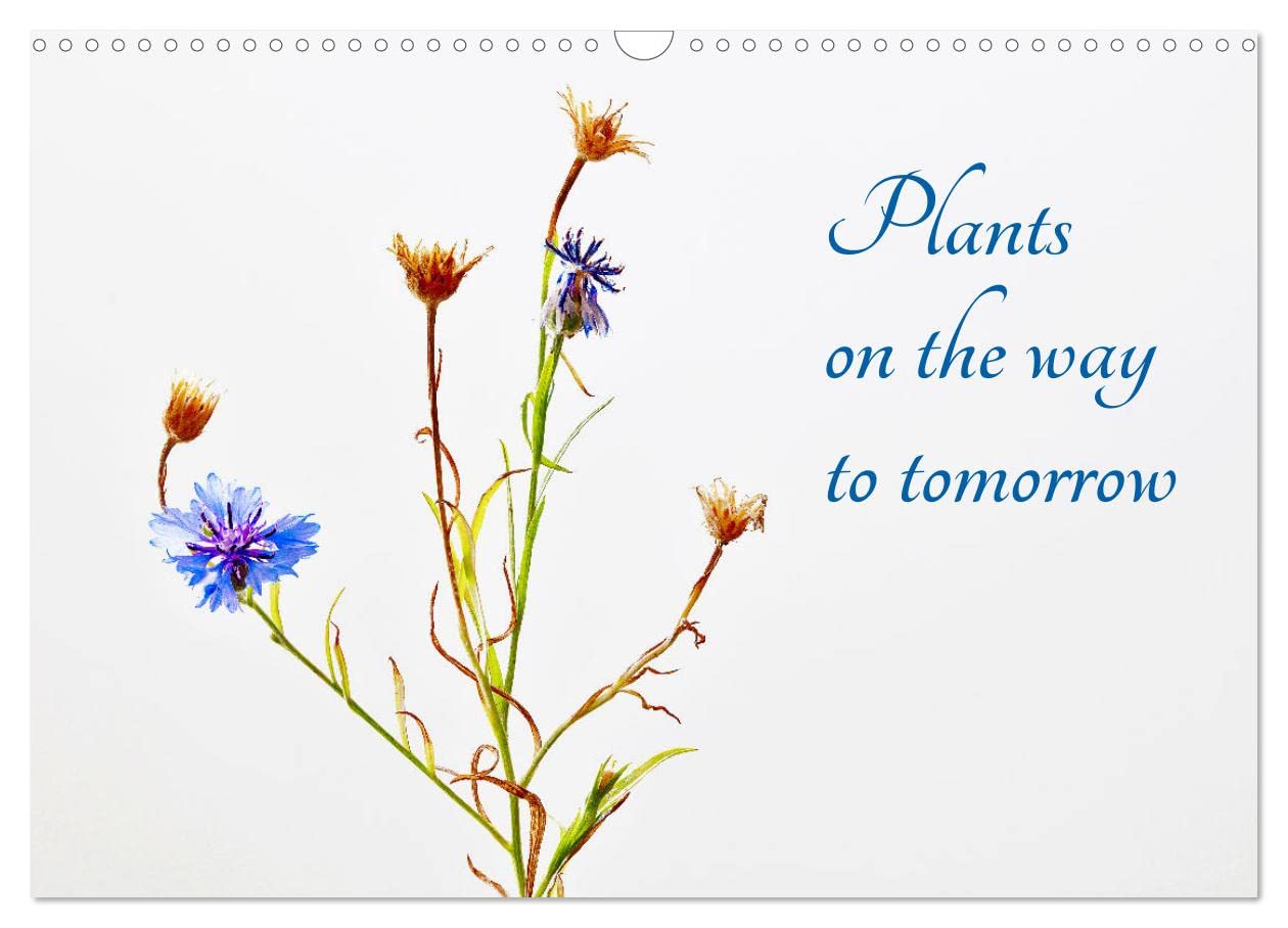 Plants on the way to tomorrow (Wall Calendar 2026 DIN A3 landscape), CALVENDO 12 Month Wall Calendar: Flowers on the way to morning Photography