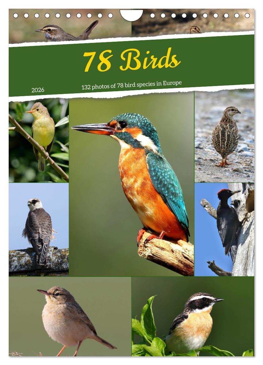 78 Birds (Wall Calendar 2026 DIN A4 portrait), CALVENDO 12 Month Wall Calendar: 132 photos of 78 bird species in Central Europe Natural Sciences