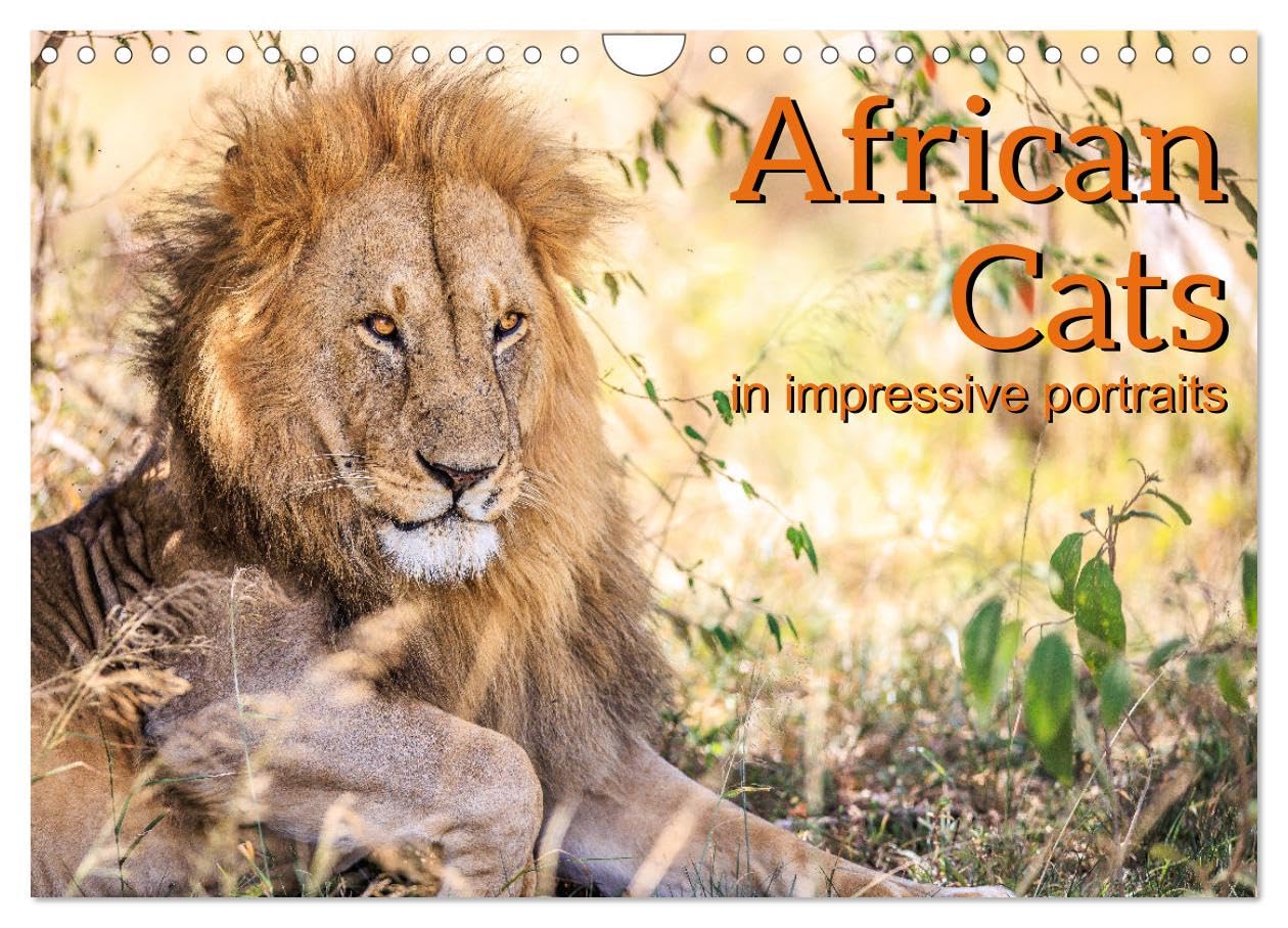 African Cats in impressive portraits (Wall Calendar 2026 DIN A4 landscape), CALVENDO 12 Month Wall Calendar: Impressive high-resolution portraits of Africa's fascinating big cats Film, Art & Culture