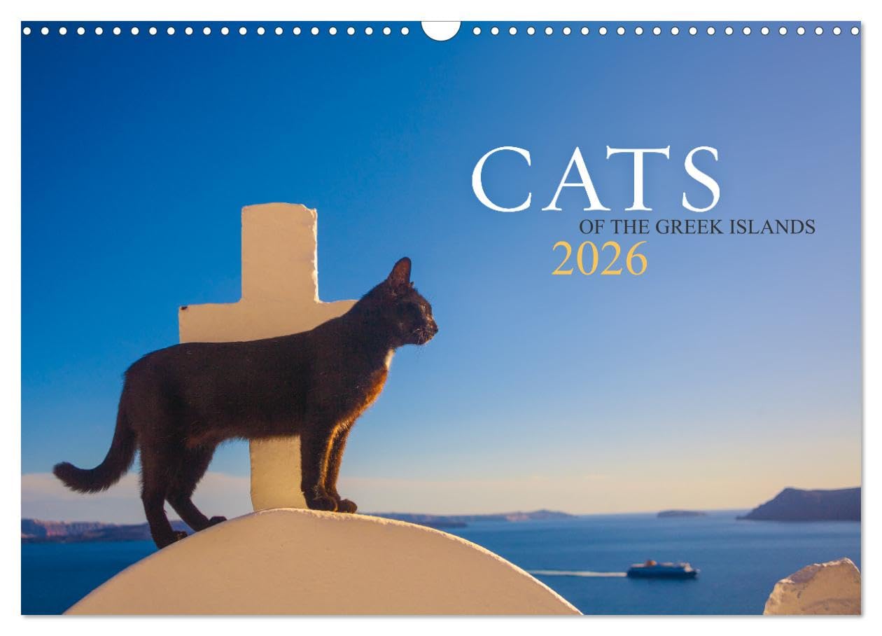 Cats of the Greek Islands (Wall Calendar 2026 DIN A3 landscape), CALVENDO 12 Month Wall Calendar: 12 uniquely beautiful cat portraits that will get you in the holiday mood all year round Film, Art & Culture
