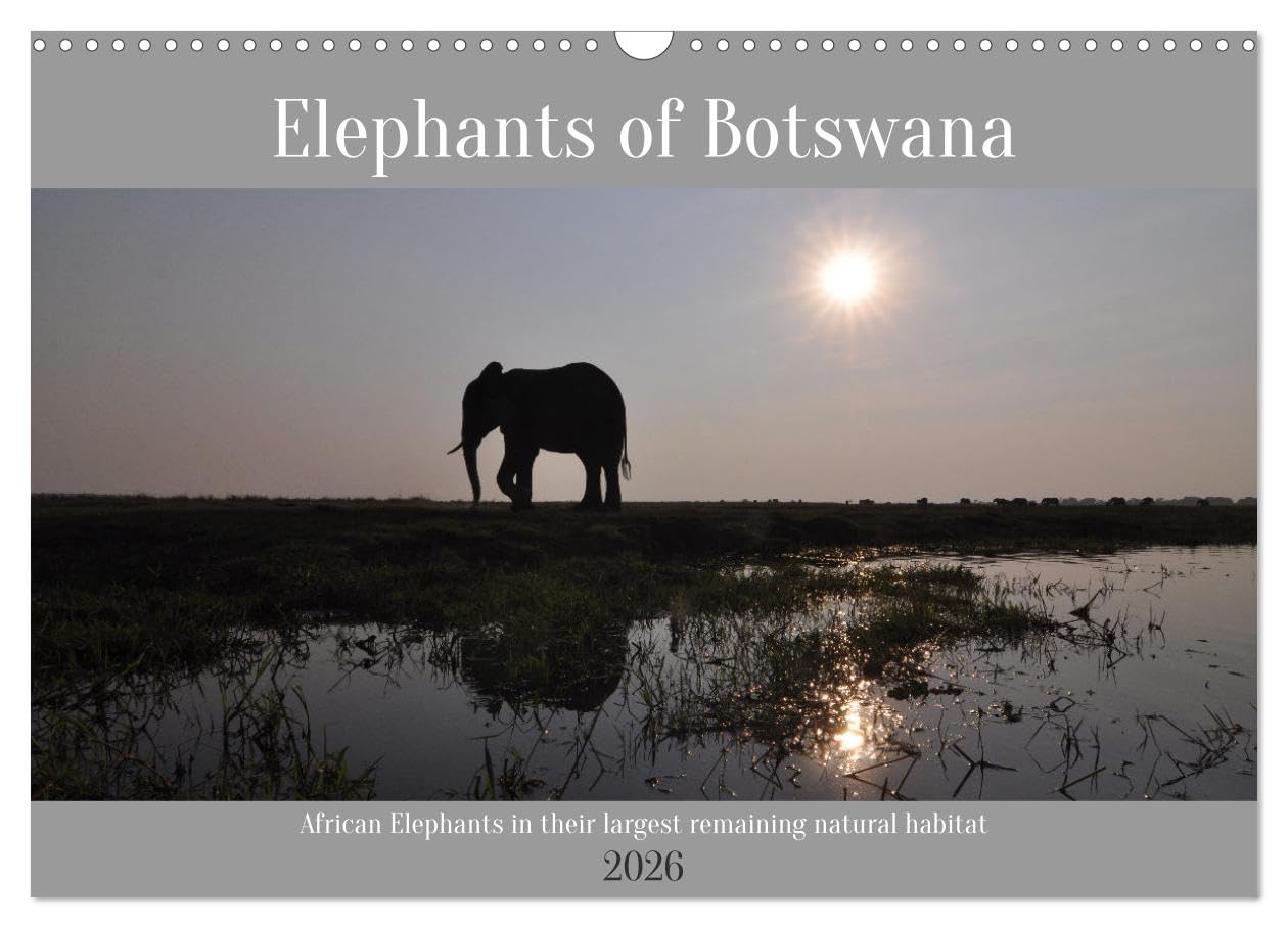Elephants of Botswana (Wall Calendar 2026 DIN A3 landscape), CALVENDO 12 Month Wall Calendar: African elephants in their natural habitat Leisure, Home & Garden
