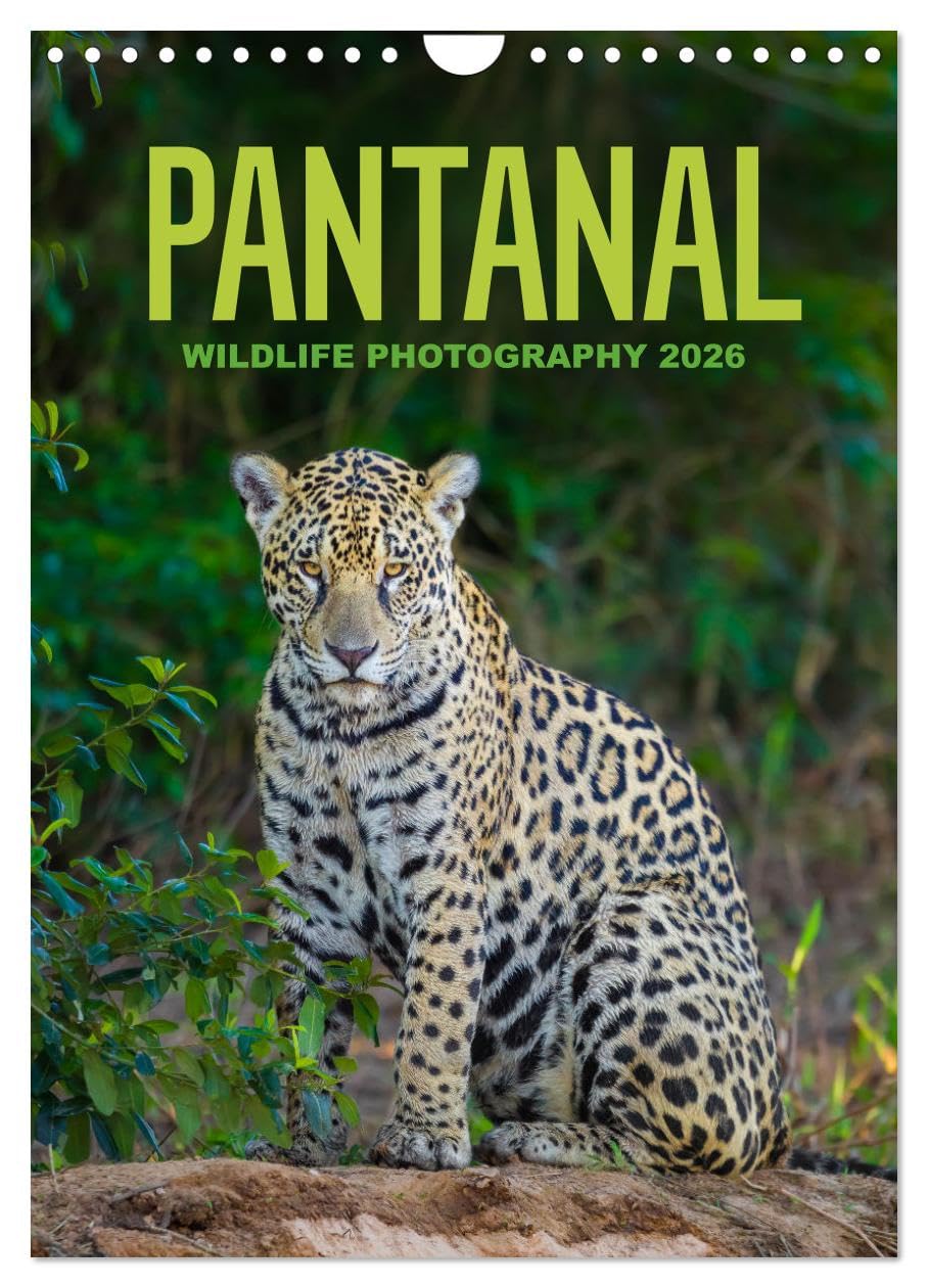 Pantanal Wildlife Photography (Wall Calendar 2026 DIN A4 portrait), CALVENDO 12 Month Wall Calendar: The wonderful and unique wild animals of South America Film, Art & Culture