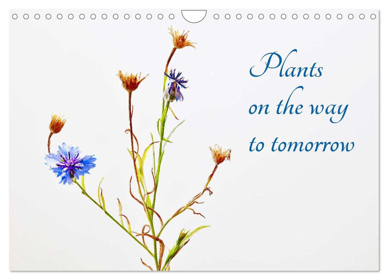 Plants on the way to tomorrow (Wall Calendar 2026 DIN A4 landscape), CALVENDO 12 Month Wall Calendar: Flowers on the way to morning Photography