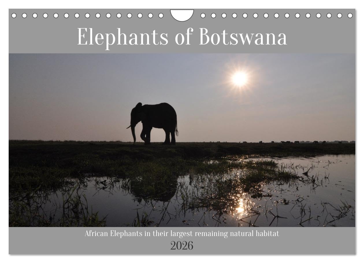 Elephants of Botswana (Wall Calendar 2026 DIN A4 landscape), CALVENDO 12 Month Wall Calendar: African elephants in their natural habitat Leisure, Home & Garden