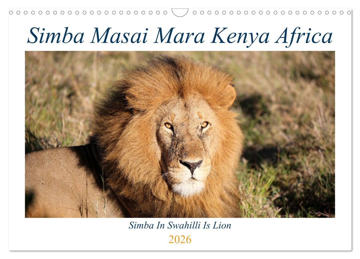 Simba Masai Mara Kenya Africa (Wall Calendar 2026 DIN A3 landscape), CALVENDO 12 Month Wall Calendar: Simba the African Lion Natural Sciences