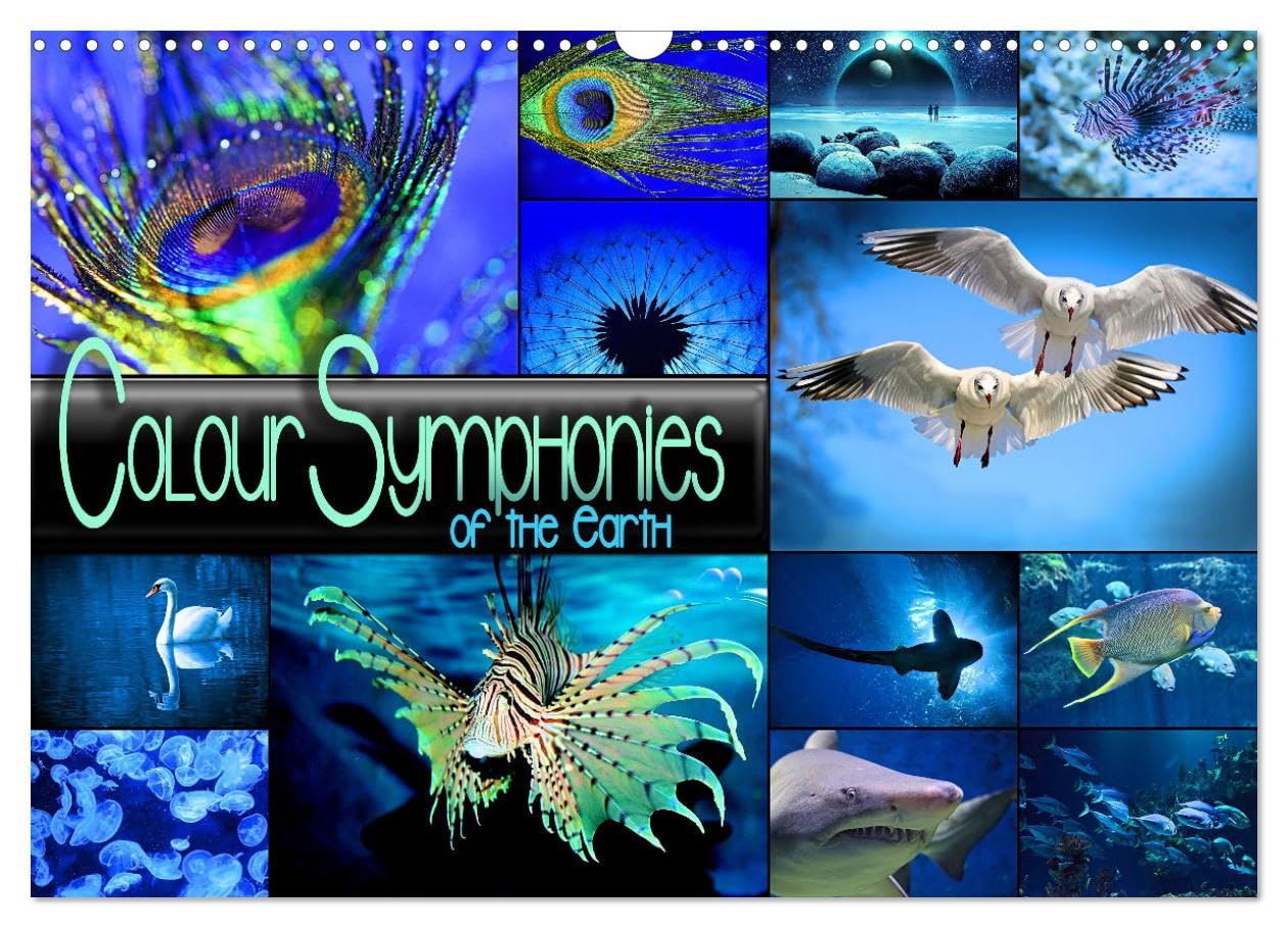 Colour Symphonies of the Earth (Wall Calendar 2026 DIN A3 landscape), CALVENDO 12 Month Wall Calendar: Atmospheric collages in fascinating colour combinations Film, Art & Culture
