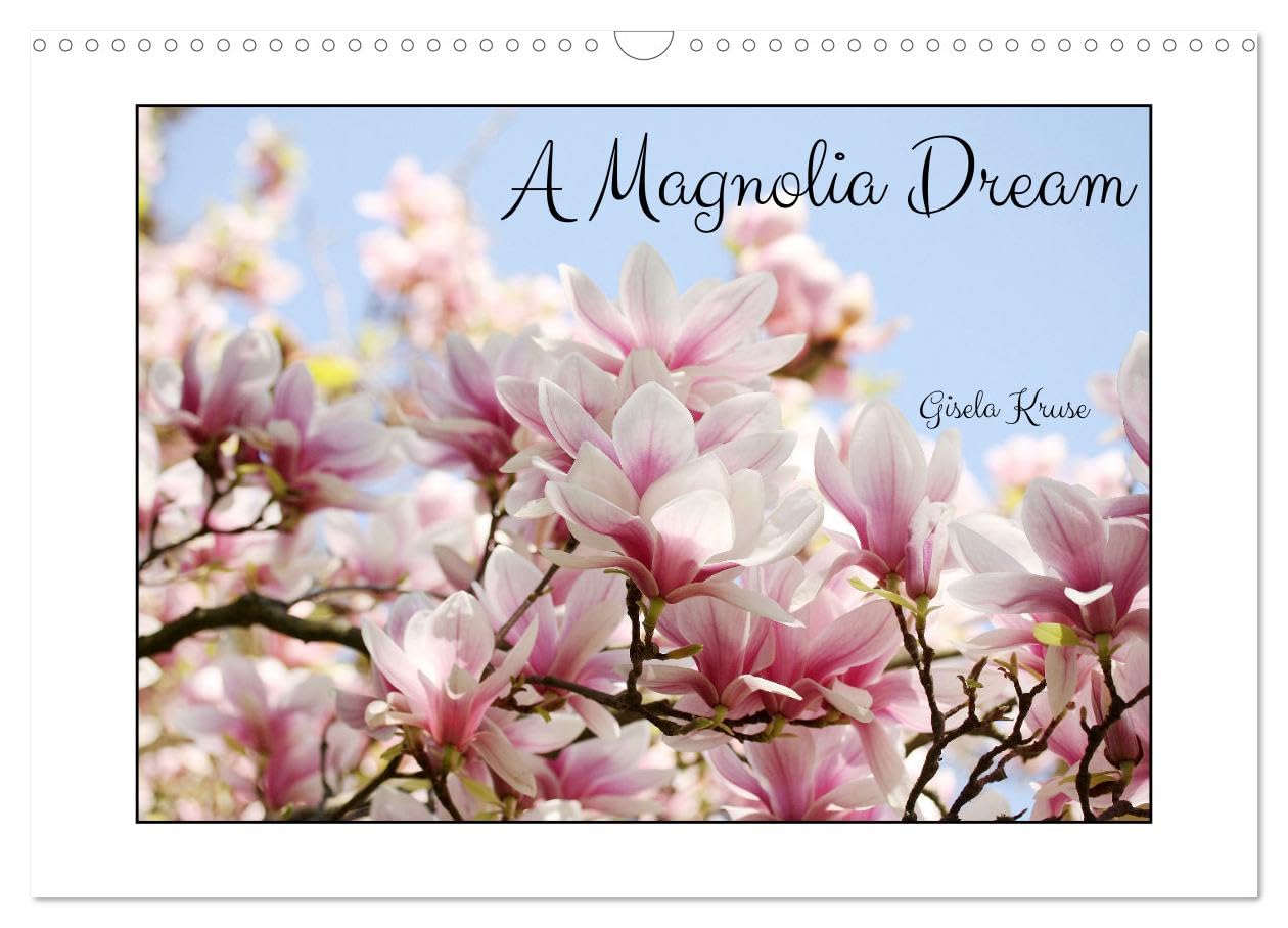 A Magnolia Dream (Wall Calendar 2026 DIN A3 landscape), CALVENDO 12 Month Wall Calendar: Magnolia, the queen of spring Business & Technology