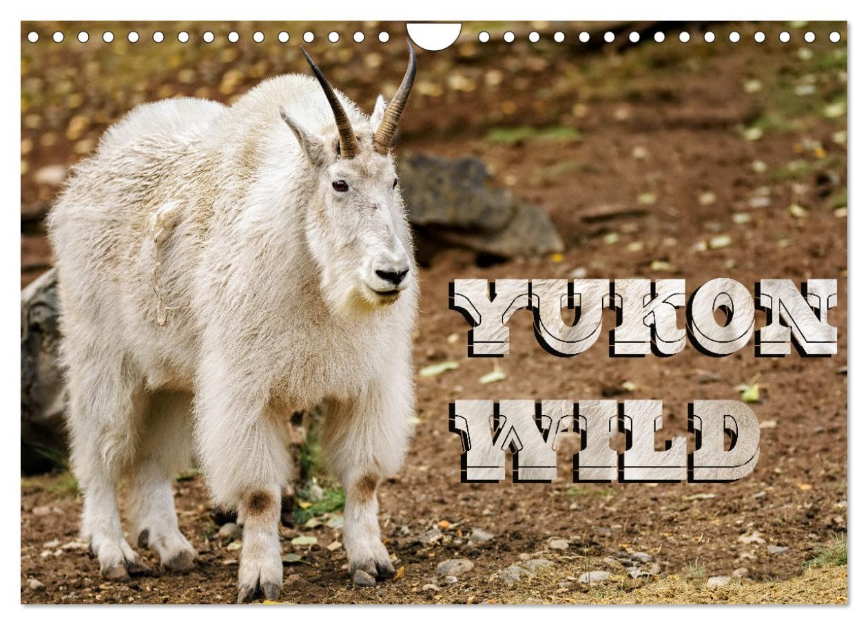 Yukon Wild (Wall Calendar 2026 DIN A4 landscape), CALVENDO 12 Month Wall Calendar: The legendary twelve wild animals of the Yukon, Canada photographed in action. Natural Sciences