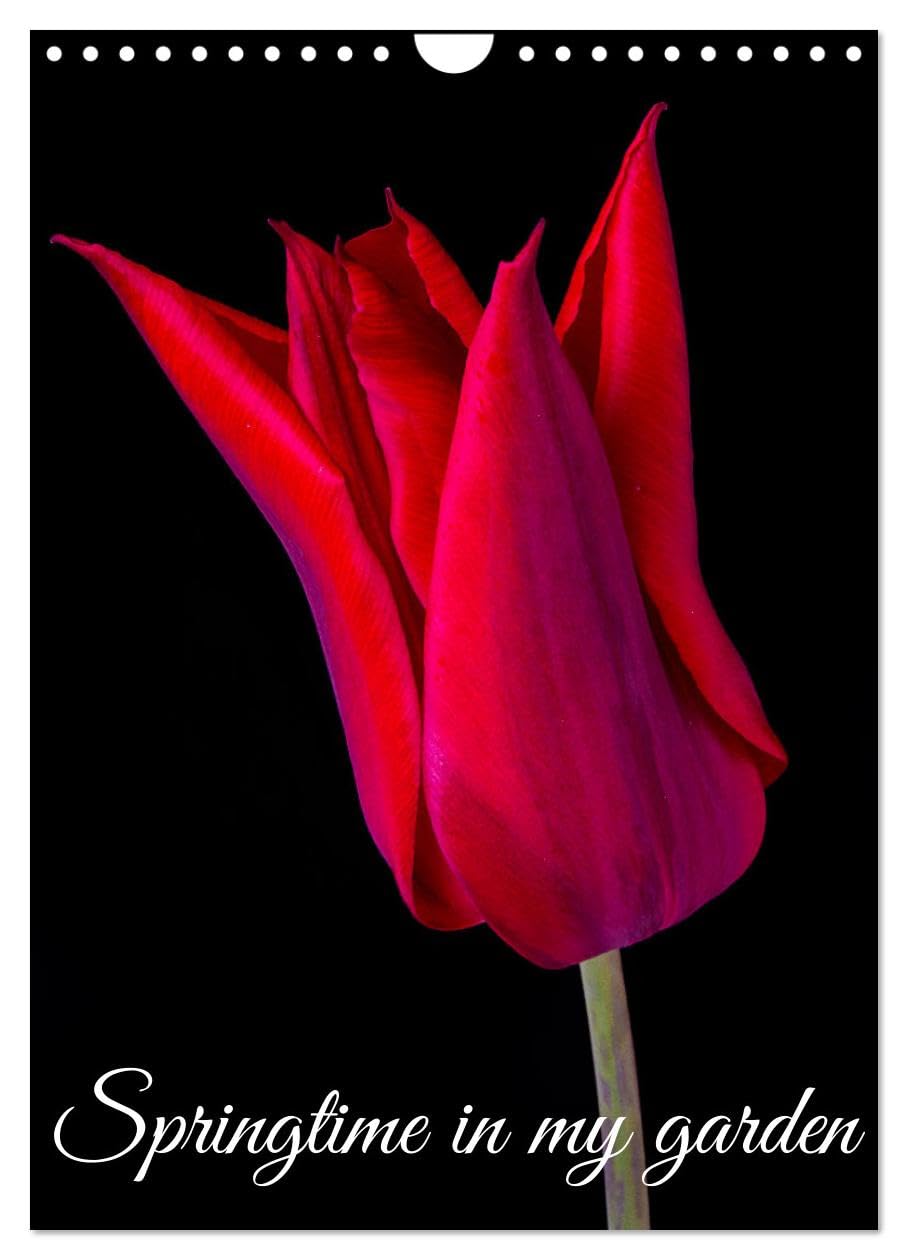 Springtime in my garden (Wall Calendar 2026 DIN A4 portrait), CALVENDO 12 Month Wall Calendar: Photo of my flowers Photography