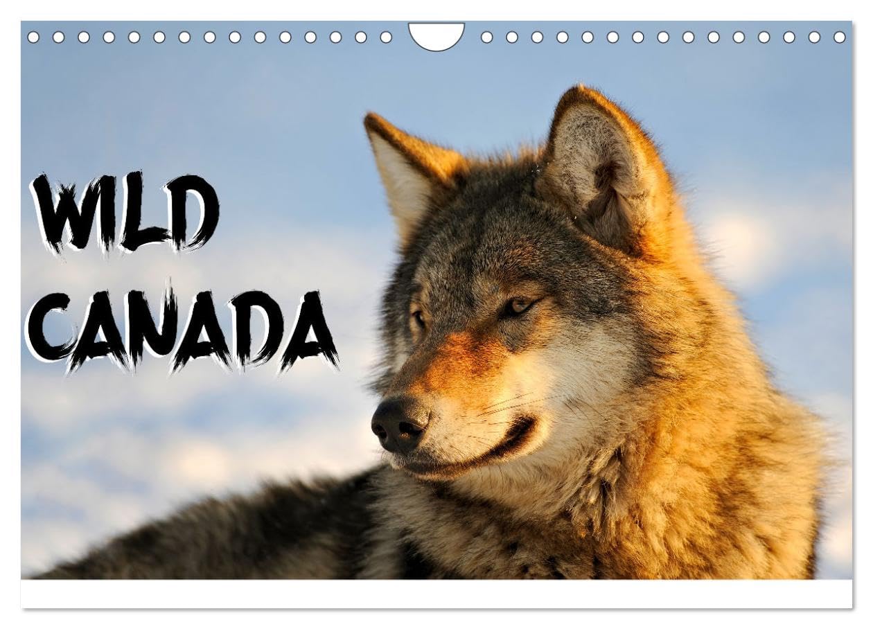 Wild Canada (Wall Calendar 2026 DIN A4 landscape), CALVENDO 12 Month Wall Calendar: Canada's most iconic wildlife photographed in their original environment. Natural Sciences