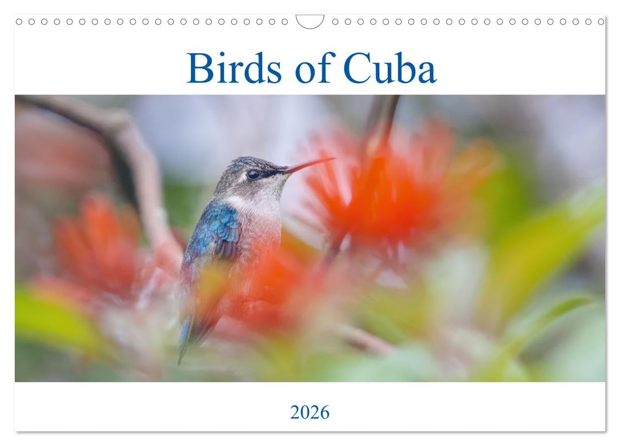 Birds of Cuba Island (Wall Calendar 2026 DIN A3 landscape), CALVENDO 12 Month Wall Calendar: Colorfoul birds of Cuba Island Natural Sciences