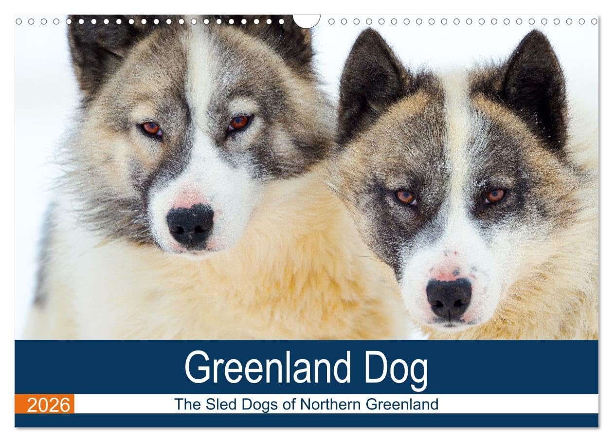 Greenland Dog - The Sled Dogs of Northern Greenland (Wall Calendar 2026 DIN A3 landscape), CALVENDO 12 Month Wall Calendar: A portrait of an arctic dog race Natural Sciences